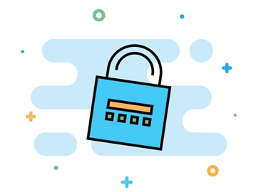 Website Security Testing
